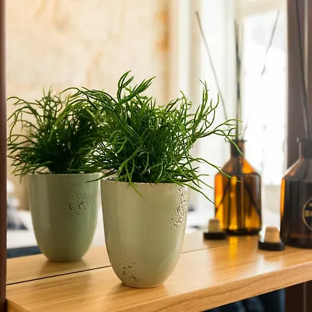 Apartamento In Between Exclusive Charm By The Center *